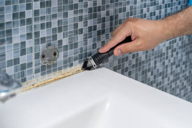 Best Mold Testing  in Ansonia, OH