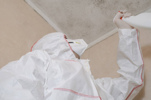 Best Emergency Mold Removal  in Ansonia, OH