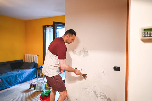 Best Water Damage Restoration  in Ansonia, OH